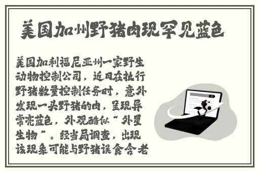 男生的GGY钙2023入口